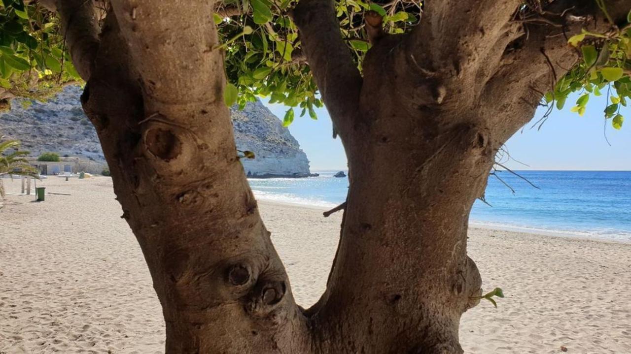 Willa Casa El Algarrobico Agua Amarga  Zewnętrze zdjęcie
